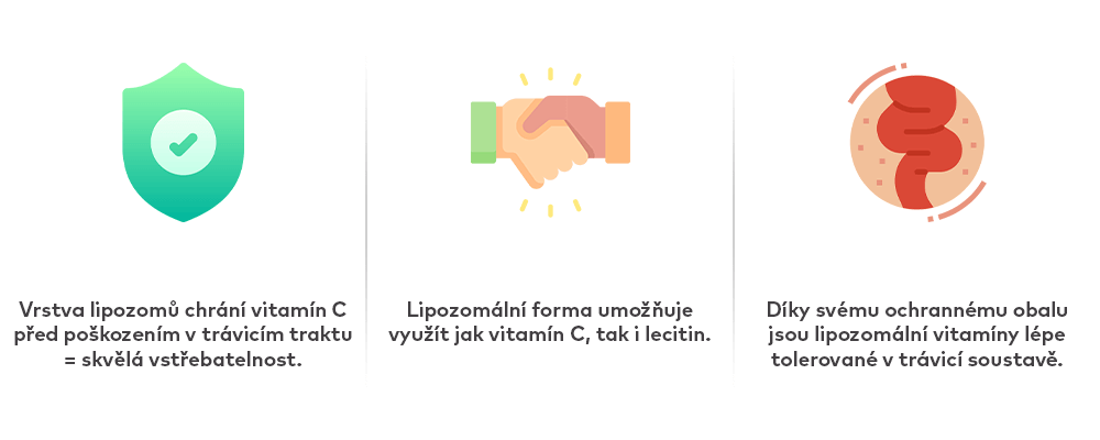 infografika-vit-c (1)